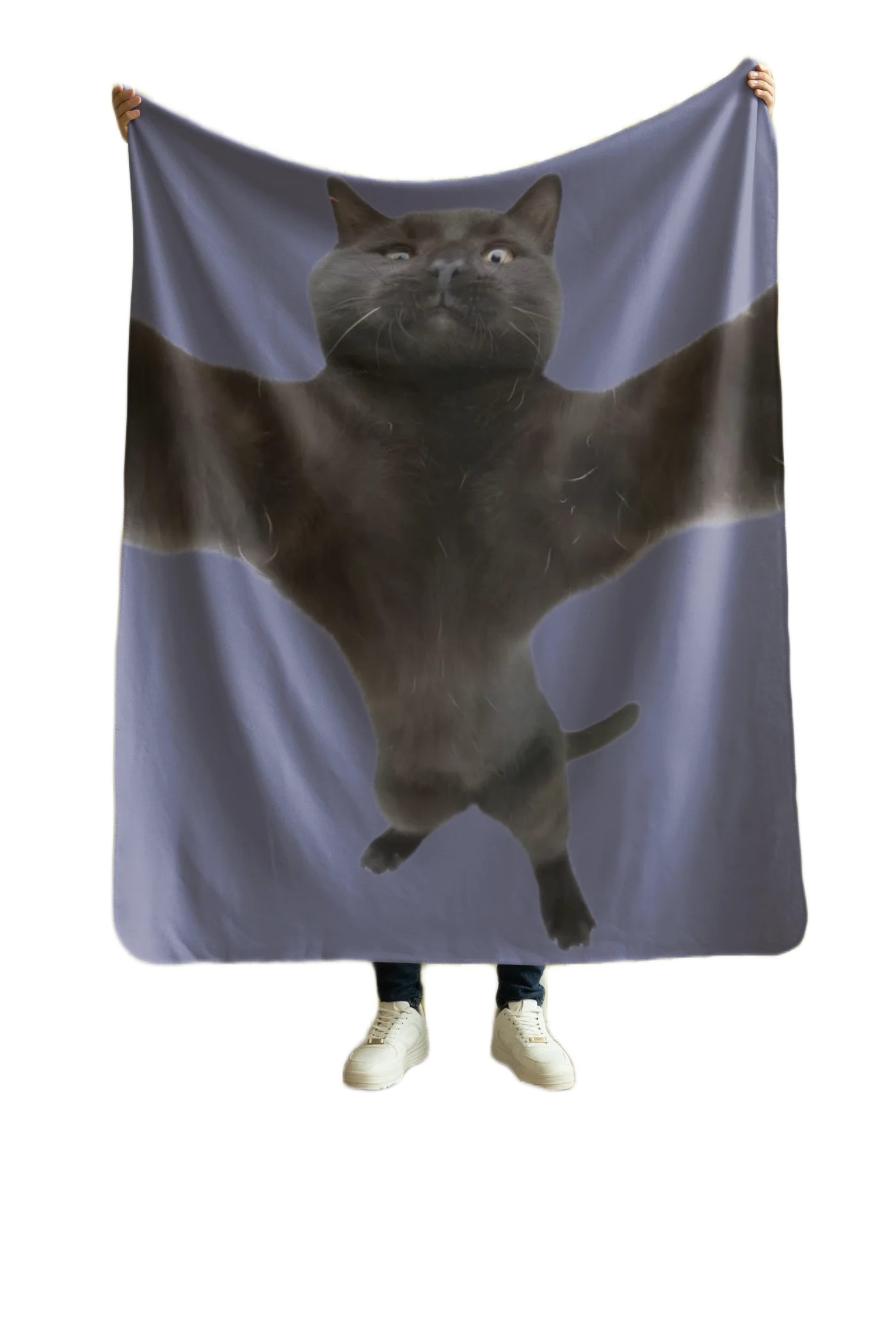 void cat lover cat hugging blanket