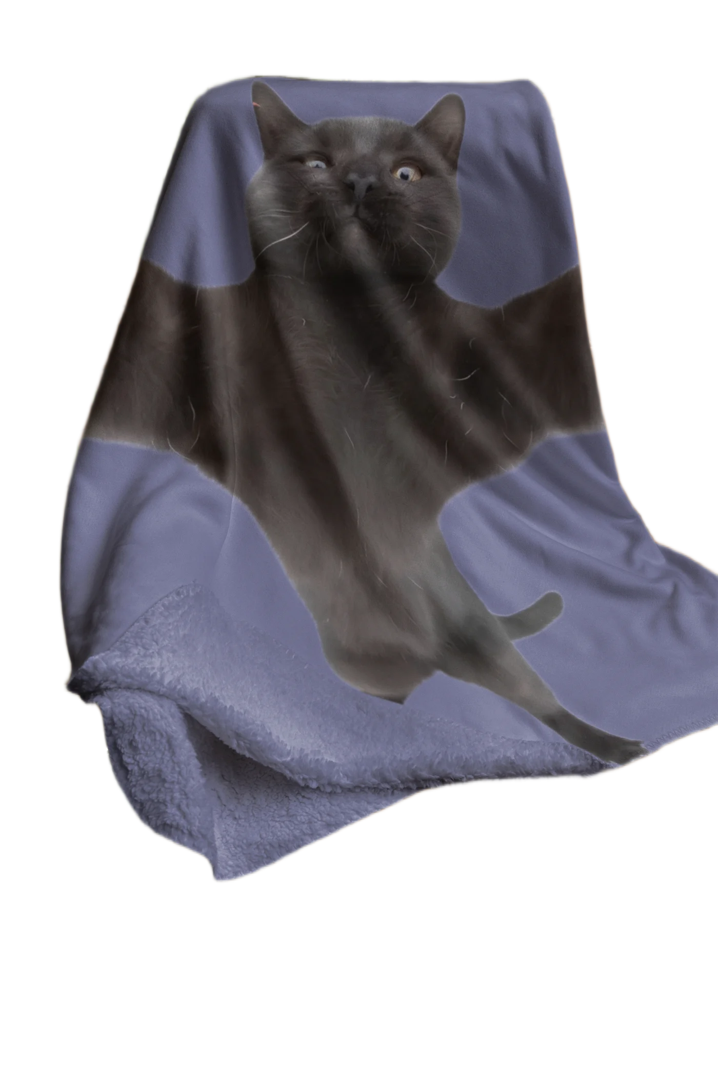 void cat lover cat hugging blanket